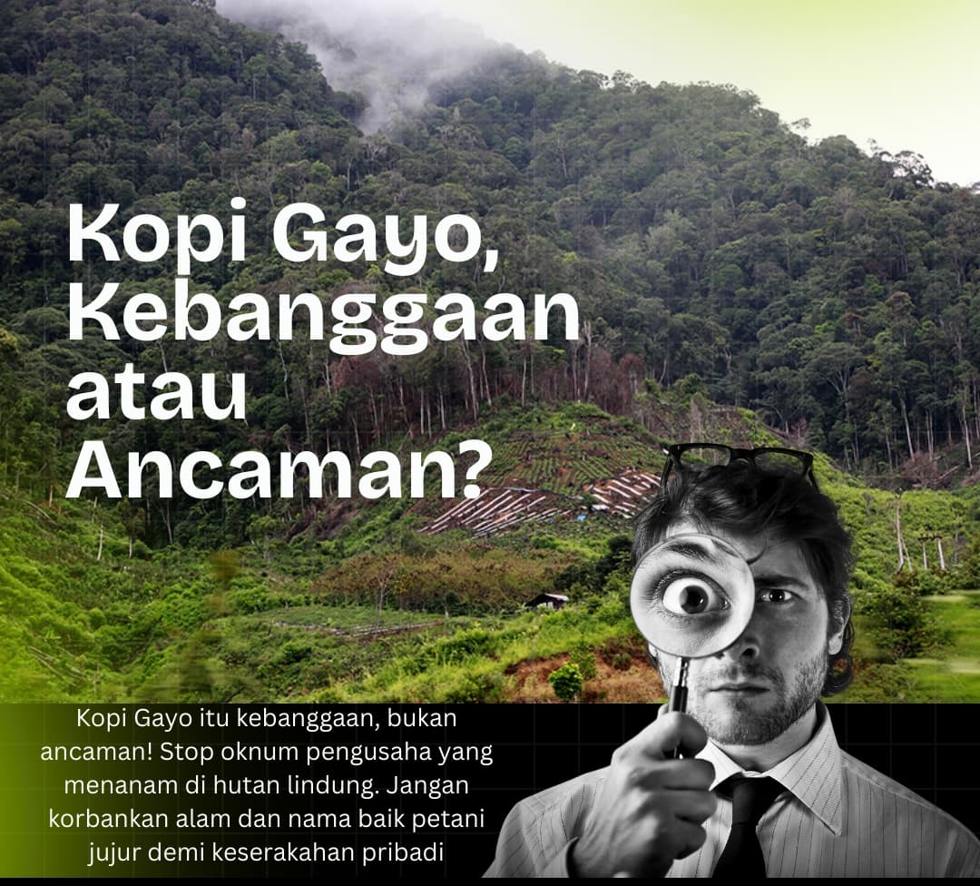 PBB Nilai Kerusakan Hutan Aceh Tengah Picu Banjir Bandang, Bukan Sekadar Persoalan Pengungsi