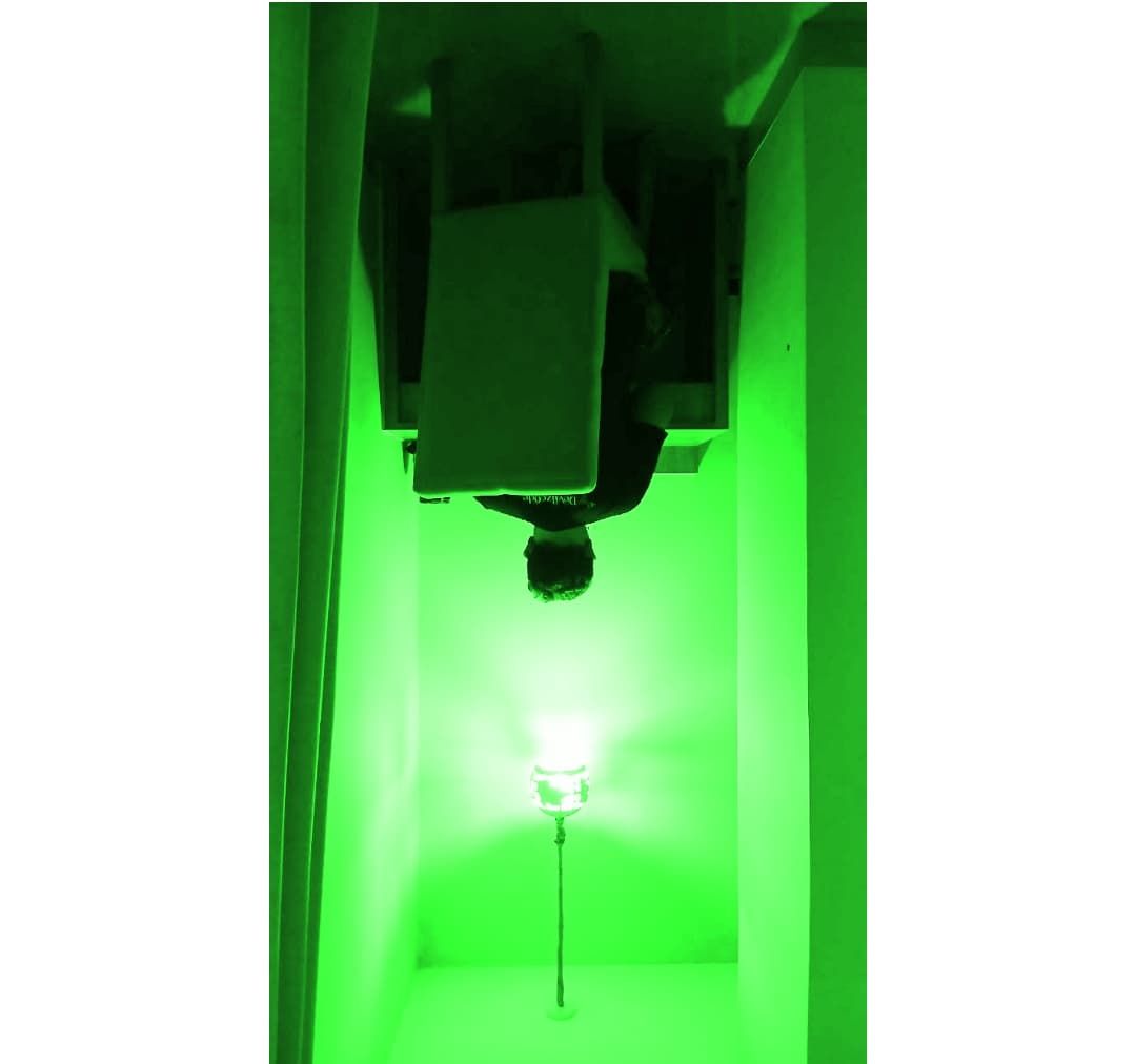 Malware Judi Online di WordPress: Cara Deteksi, Pembersihan, dan Pencegahan